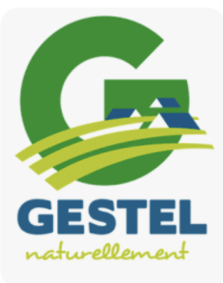 logo-gestel-partenaire-lecritoire-de-marie-bretagne