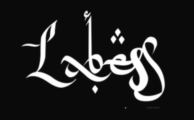 logo-labess-partenaire-lecritoire-de-marie-paris