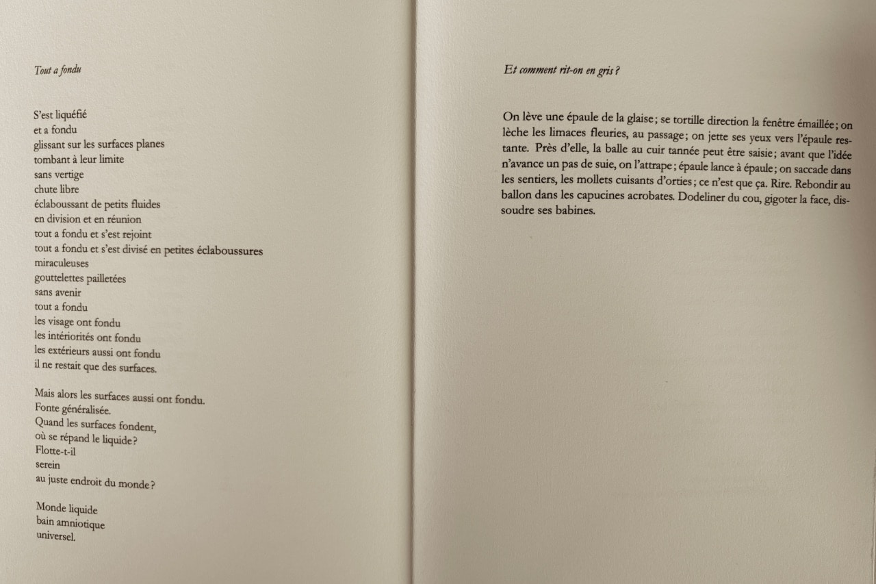 flaques-de-joie-marie-fidel-corpus-poetique-revue-la-canopee-printemps-2016