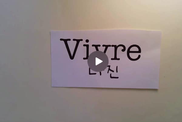 recit-visuel-lecritoire-demarie-video-graphie-auray-2021-2022